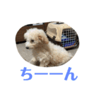 おときな（個別スタンプ：32）