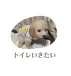 おときな（個別スタンプ：33）