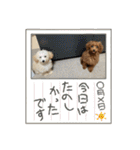 おときな（個別スタンプ：35）