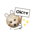おときな（個別スタンプ：37）