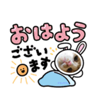 茶白猫むむの子猫の時スタンプ（個別スタンプ：2）