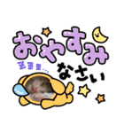 茶白猫むむの子猫の時スタンプ（個別スタンプ：3）