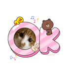 茶白猫むむの子猫の時スタンプ（個別スタンプ：10）