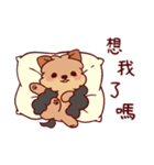 茶色の犬(夏)（個別スタンプ：21）