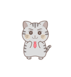 むさねこ（個別スタンプ：1）