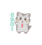 むさねこ（個別スタンプ：8）