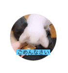 可愛いレモンスタンプ（個別スタンプ：10）