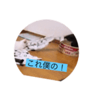 可愛いレモンスタンプ（個別スタンプ：11）