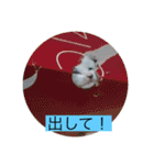 可愛いレモンスタンプ（個別スタンプ：38）