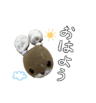 うさやまうさこです。（個別スタンプ：1）