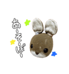 うさやまうさこです。（個別スタンプ：9）