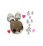 うさやまうさこです。（個別スタンプ：10）