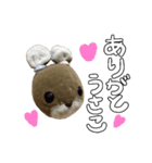 うさやまうさこです。（個別スタンプ：12）