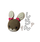 うさやまうさこです。（個別スタンプ：17）