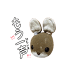 うさやまうさこです。（個別スタンプ：31）