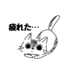 謎ねこ*（個別スタンプ：6）