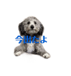 クーーーーピーー（個別スタンプ：2）