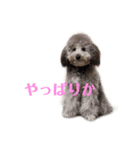 クーーーーピーー（個別スタンプ：14）