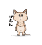 顔で訴えてくる猫（個別スタンプ：7）