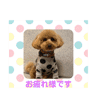 ティアちゃん＆リオくん2（個別スタンプ：4）