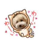 ティアちゃん＆リオくん2（個別スタンプ：17）