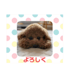 ティアちゃん＆リオくん2（個別スタンプ：26）