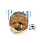 ティアちゃん＆リオくん2（個別スタンプ：27）
