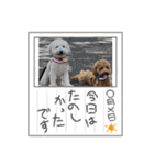 ティアちゃん＆リオくん2（個別スタンプ：37）