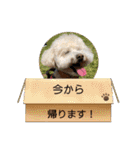 ティアちゃん＆リオくん2（個別スタンプ：38）