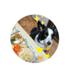 ぼぉだぁ（個別スタンプ：10）