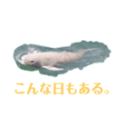 海。空撮スタンプ④（個別スタンプ：8）