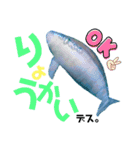 海。空撮スタンプ④（個別スタンプ：15）