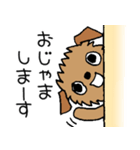 ブリュッセルグリフォンちゃん☆その3（個別スタンプ：5）