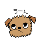 ブリュッセルグリフォンちゃん☆その3（個別スタンプ：14）