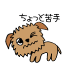 ブリュッセルグリフォンちゃん☆その3（個別スタンプ：17）