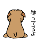 ブリュッセルグリフォンちゃん☆その3（個別スタンプ：22）