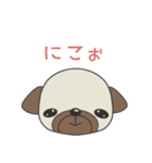 犬猿の仲良し。スタンプver（個別スタンプ：13）