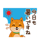 柴犬「ムサシ」30 天気（個別スタンプ：3）