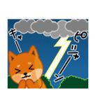柴犬「ムサシ」30 天気（個別スタンプ：29）