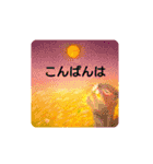毎日に優しさを♥️ (パステル画 2)（個別スタンプ：3）