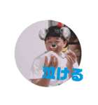 かつおやしき誕生日（個別スタンプ：7）