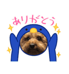いいね超可愛い（個別スタンプ：4）