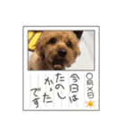 いいね超可愛い（個別スタンプ：8）