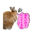 ペーモちゃんのスタンプ(行ってくるよ編)（個別スタンプ：3）