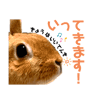 ペーモちゃんのスタンプ(行ってくるよ編)（個別スタンプ：4）