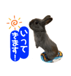ペーモちゃんのスタンプ(行ってくるよ編)（個別スタンプ：7）
