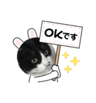 あうちゃん敬語ver（個別スタンプ：8）