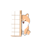 世界壱柴犬（個別スタンプ：6）