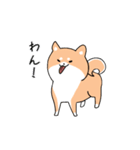 世界壱柴犬（個別スタンプ：15）