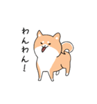 世界壱柴犬（個別スタンプ：16）